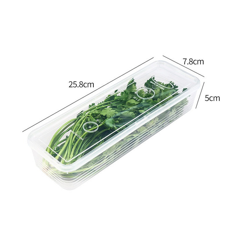香菜小葱冰箱收纳盒 1 包