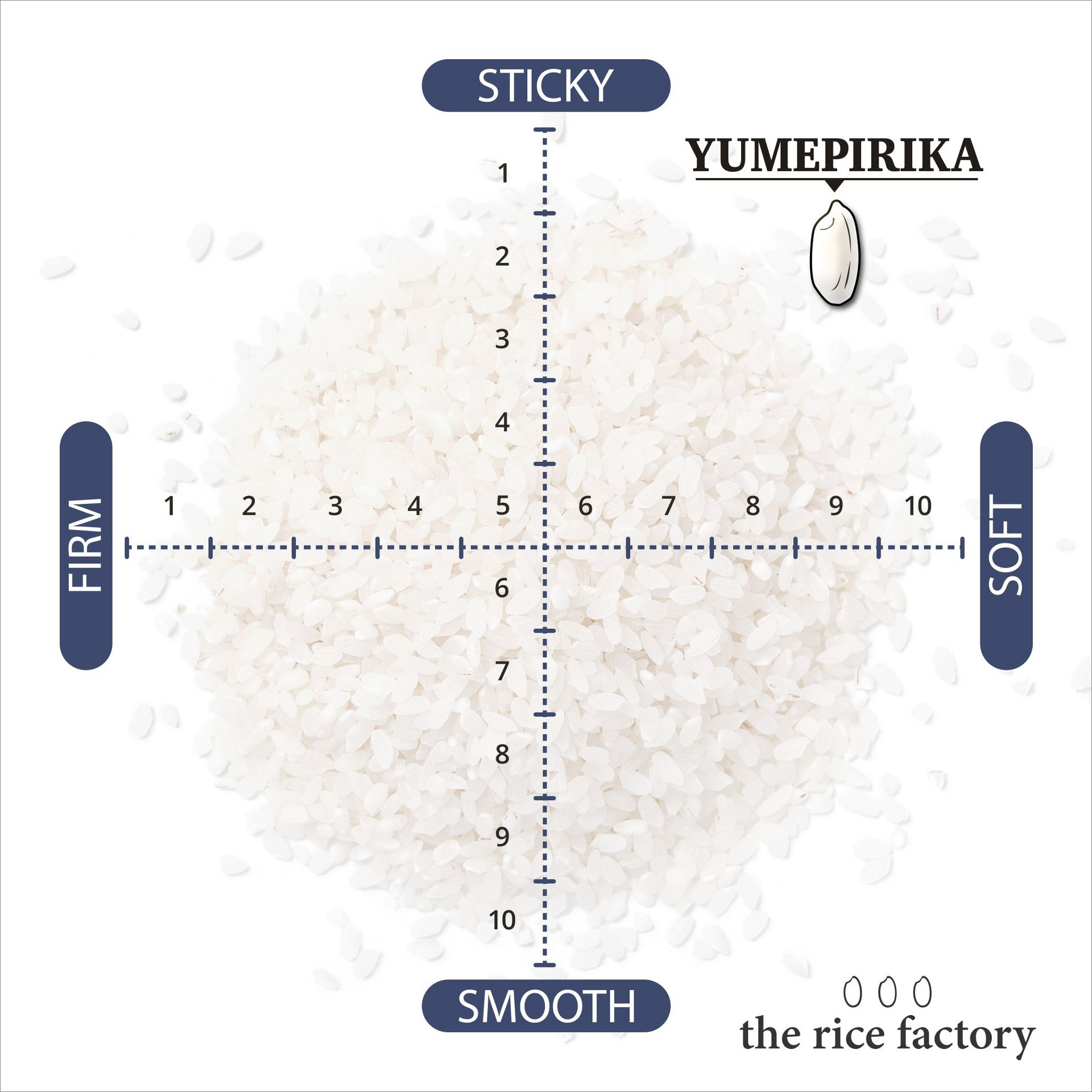 Hokkaido Yumepirika (2024 Crop) 5lb White 1 each
