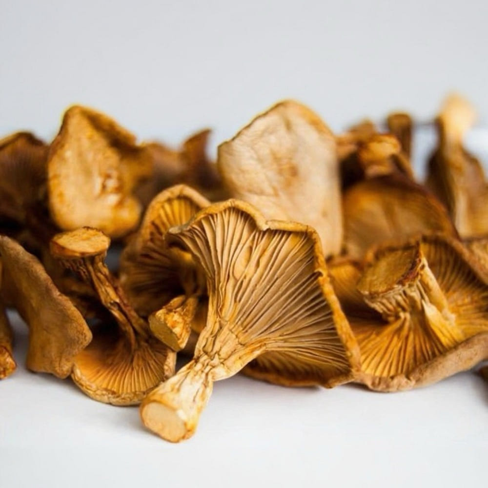 2ozChanterelle Mushrooms+1oz Wild Black Truffles 1 each