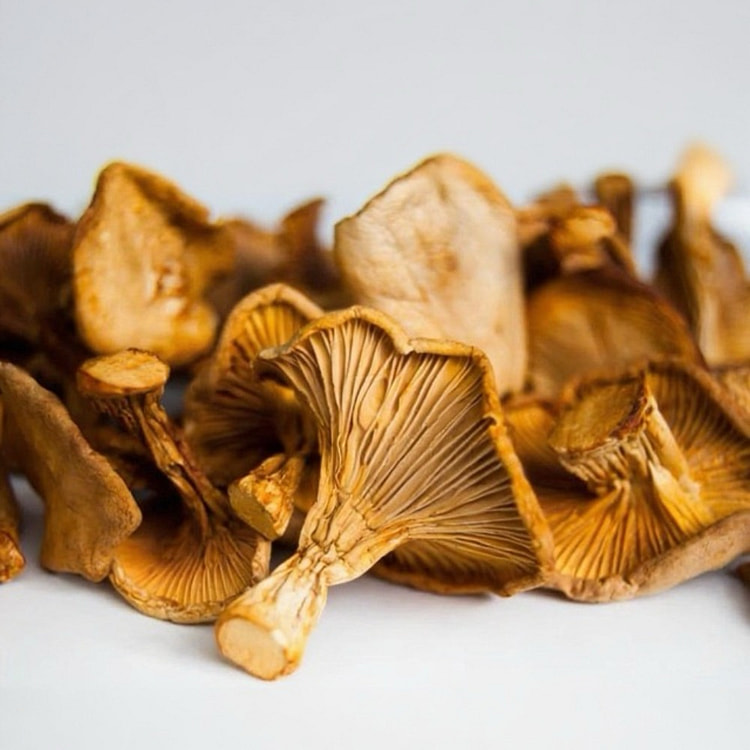 2ozChanterelle Mushrooms+1oz Wild Black Truffles