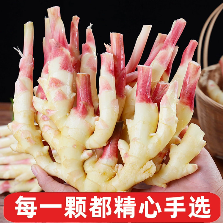 嫩姜 新鲜大仔姜子姜山东红芽生姜*1