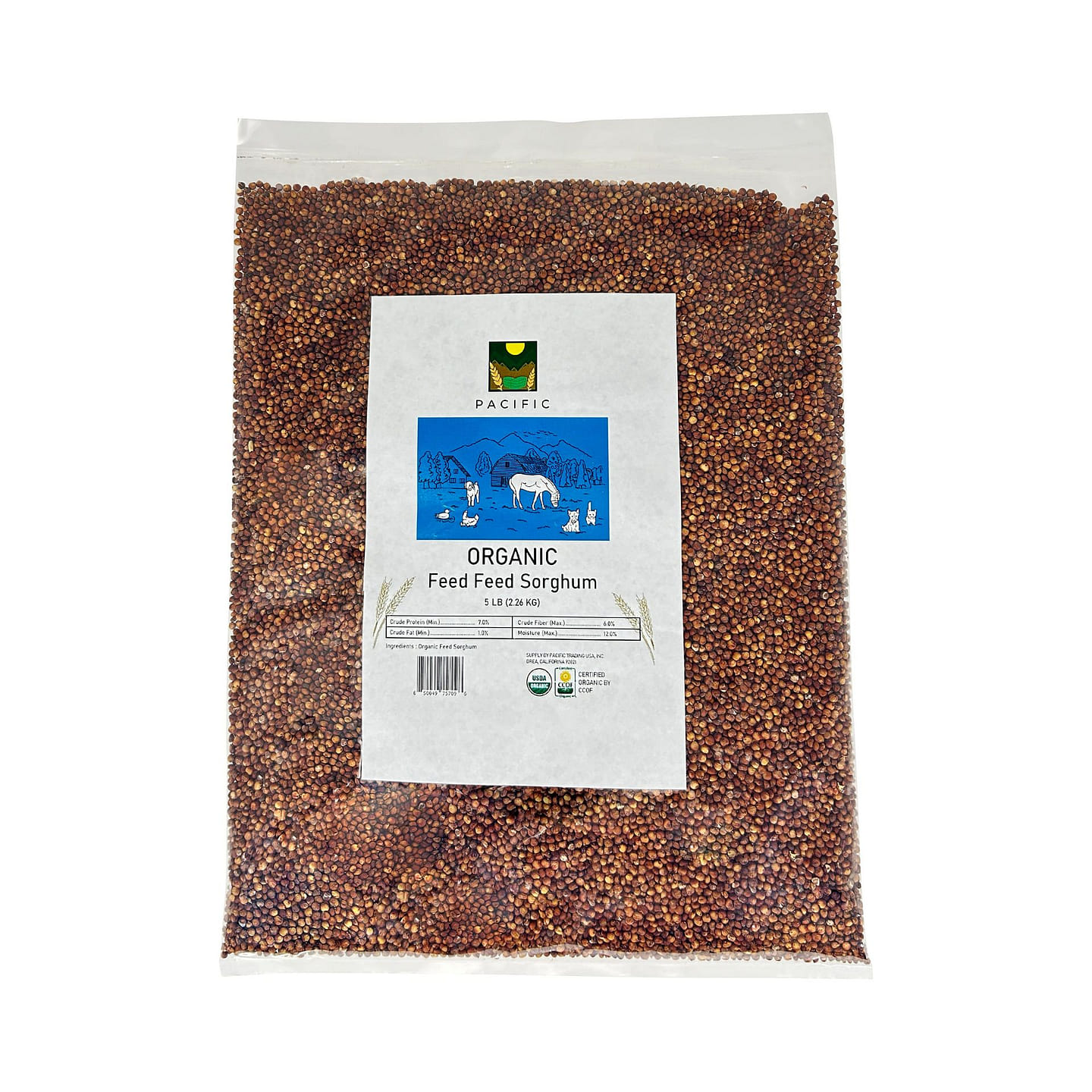 Pacific Organic Feed Sorghum 5Lbs 1 each