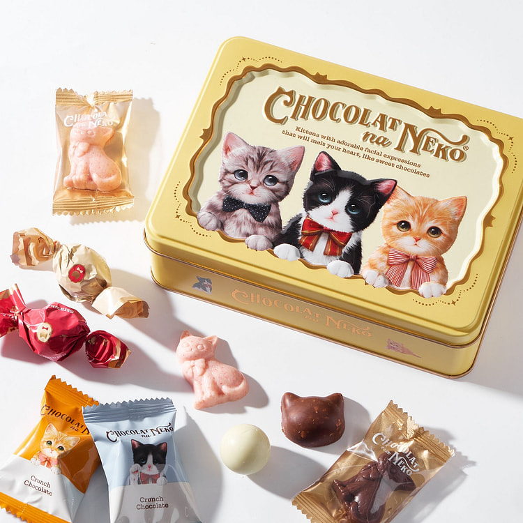 Cat Chocolate Treats Assortment (17 pieces)