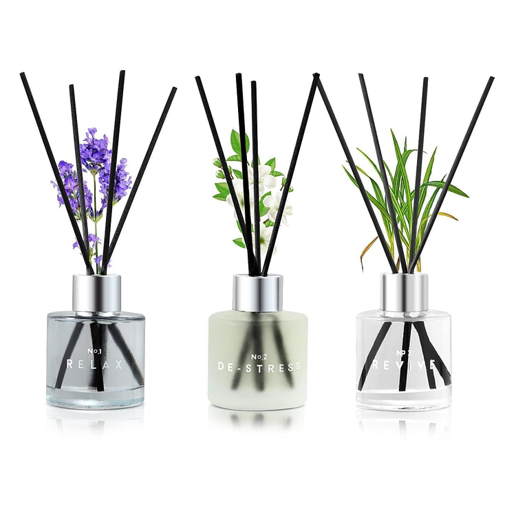 3 Pack Fragrance Reed Diffuser Air Freshener 1 each