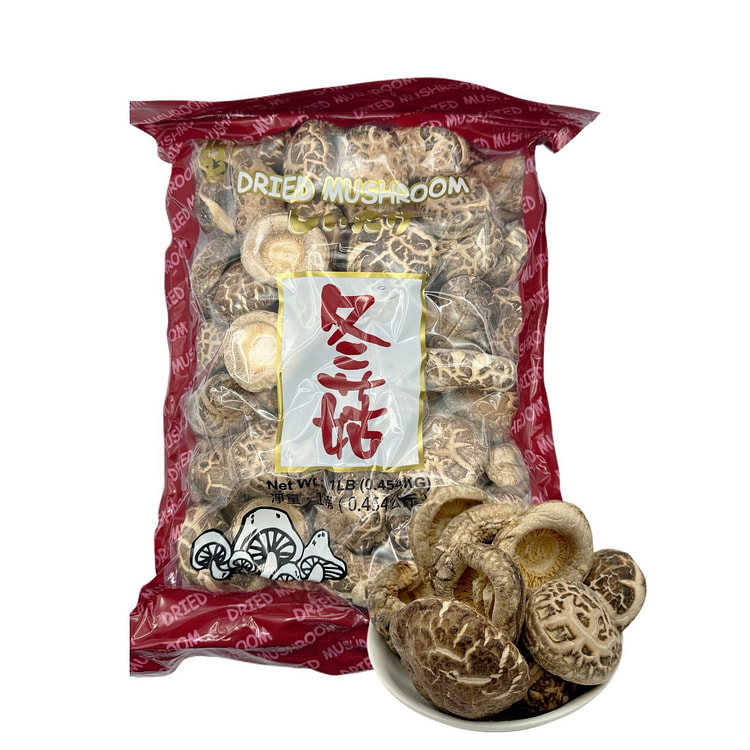 蟲草城 茶花菇 (SA1, 无丁)