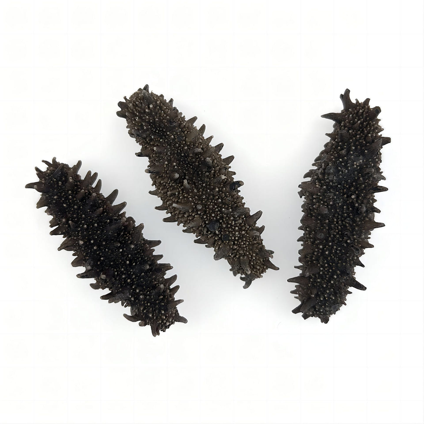 Huifeng Ginseng Dried Sea Cucumber 8 oz 8 oz