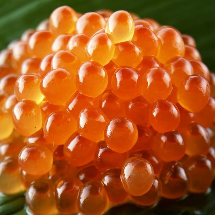 Frozen Ikura Shoyu-Zuke (Marinated Salmon Roe) AAA 500 g