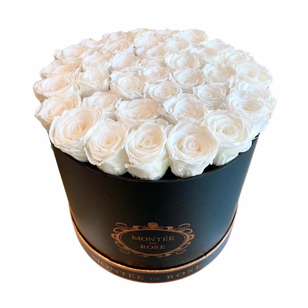 Black Large Round Pure White 1 each