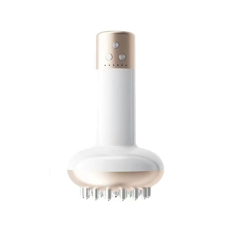 Electric meridian brush, lymphatic dredging, tendo 1 each