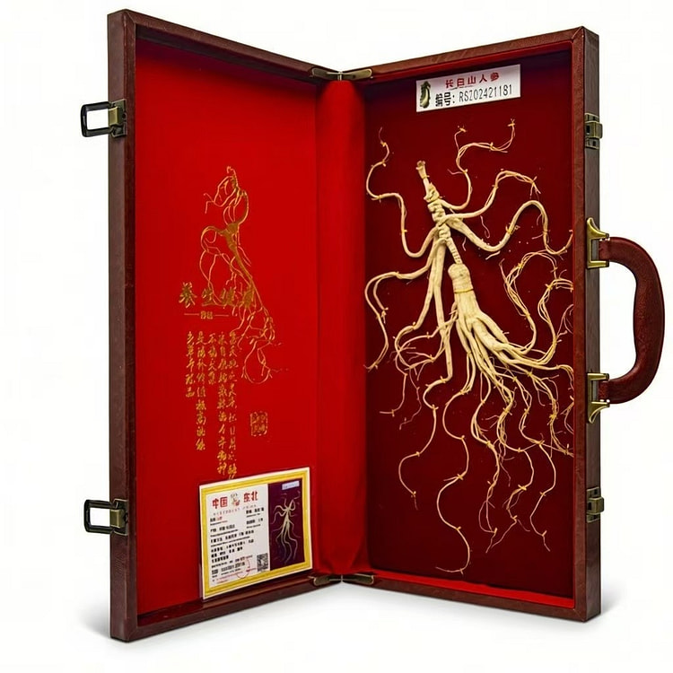 One ginseng root, a specialty of Changbai Mountain 1 box