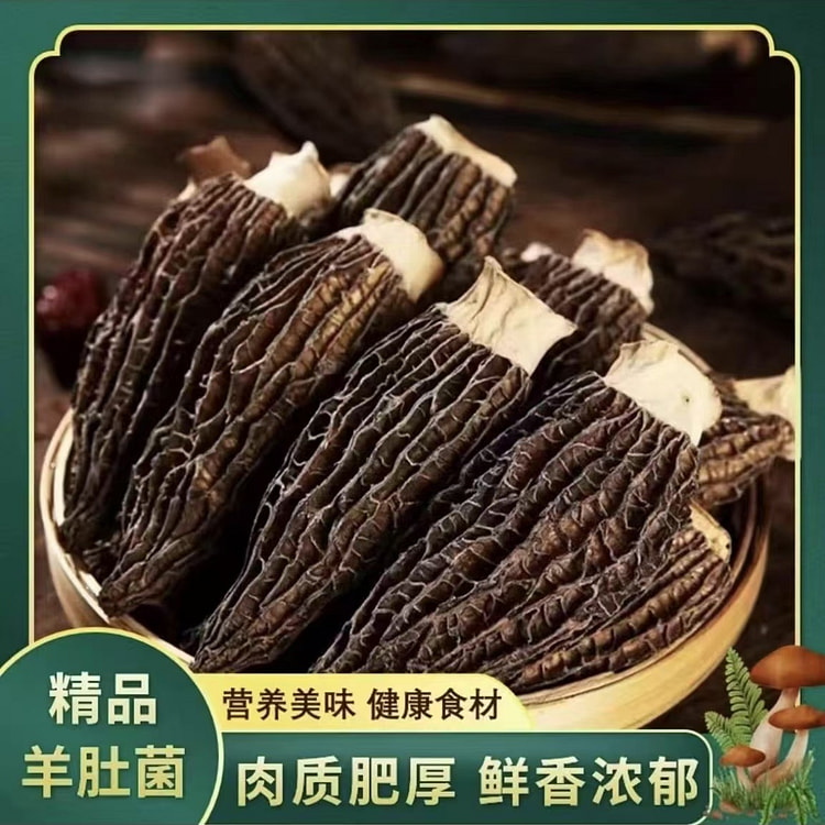 精品羊肚菌 人工挑选封装5cm-7cm