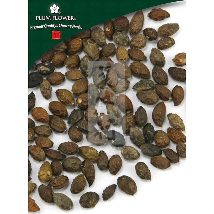 Ya Dan Zi, unsulfured Brucea javanica fruit