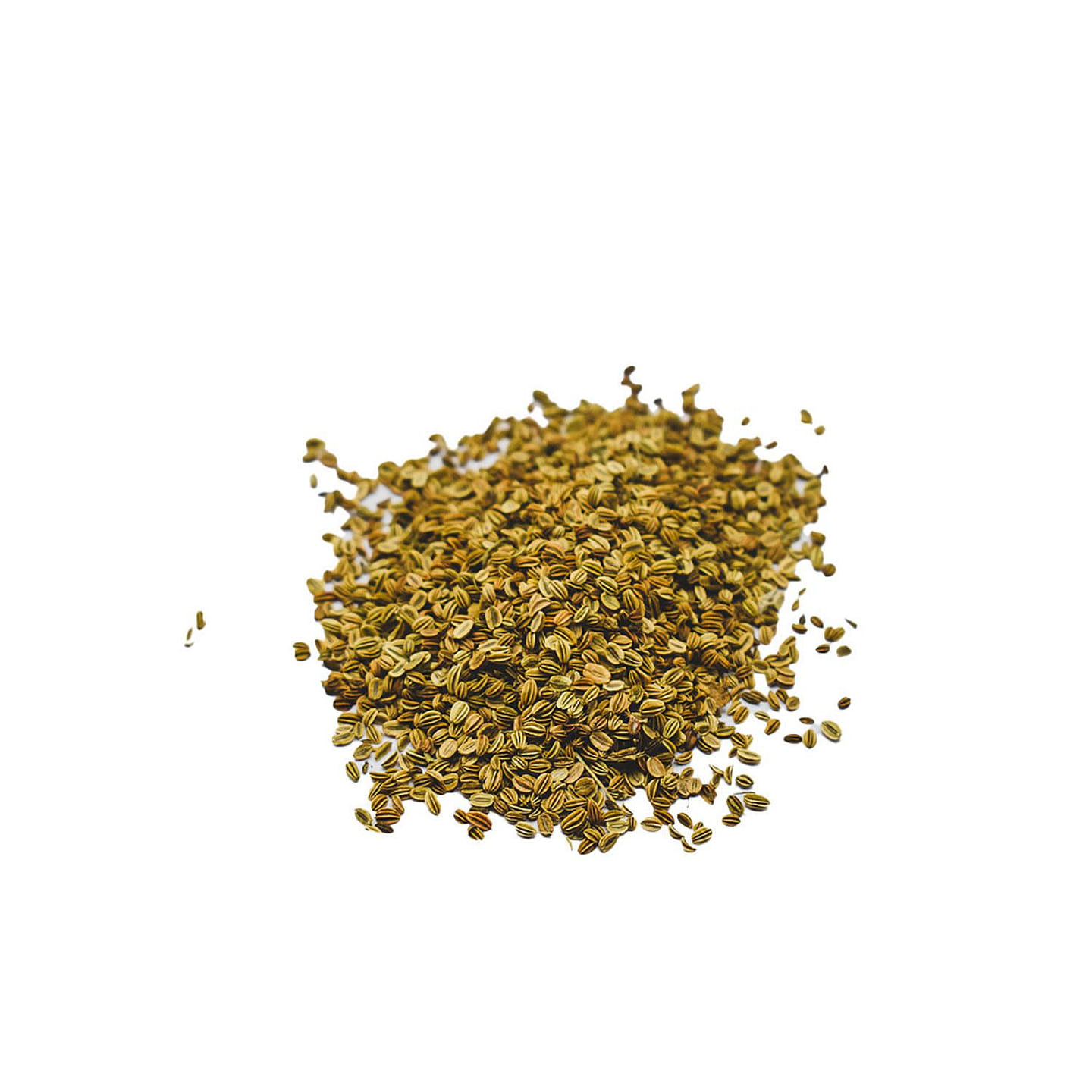 SHE CHUANG ZI – Cnidium Fruit – Custom Amount 1lb (454g) 1 each