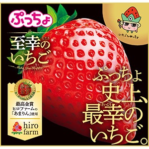 日本直送」UHA味覚糖・ぷっちょ至幸のいちご 73g袋入り - Weee!