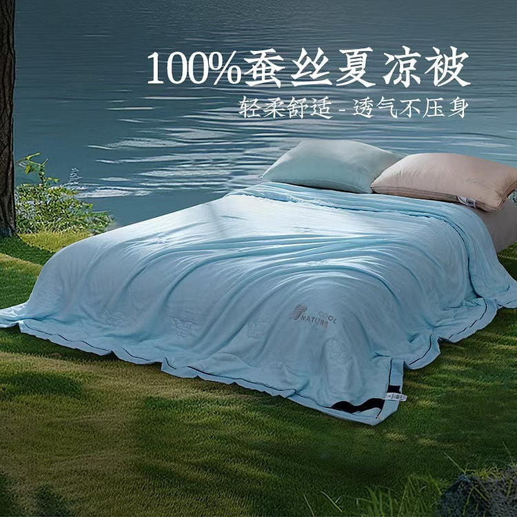 远梦100%蚕丝被夏凉被空调被200*230cm蓝 1 个