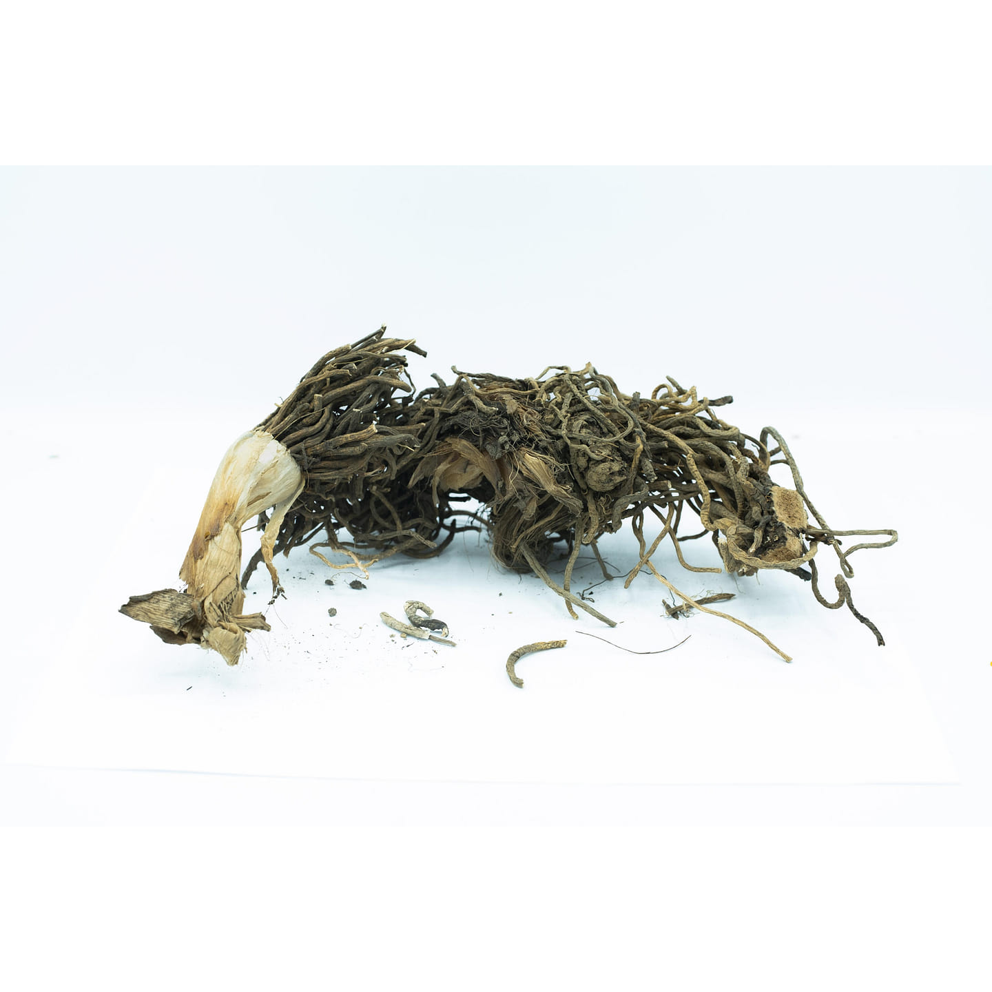 LI LU – Custom Amount 100g 1 each
