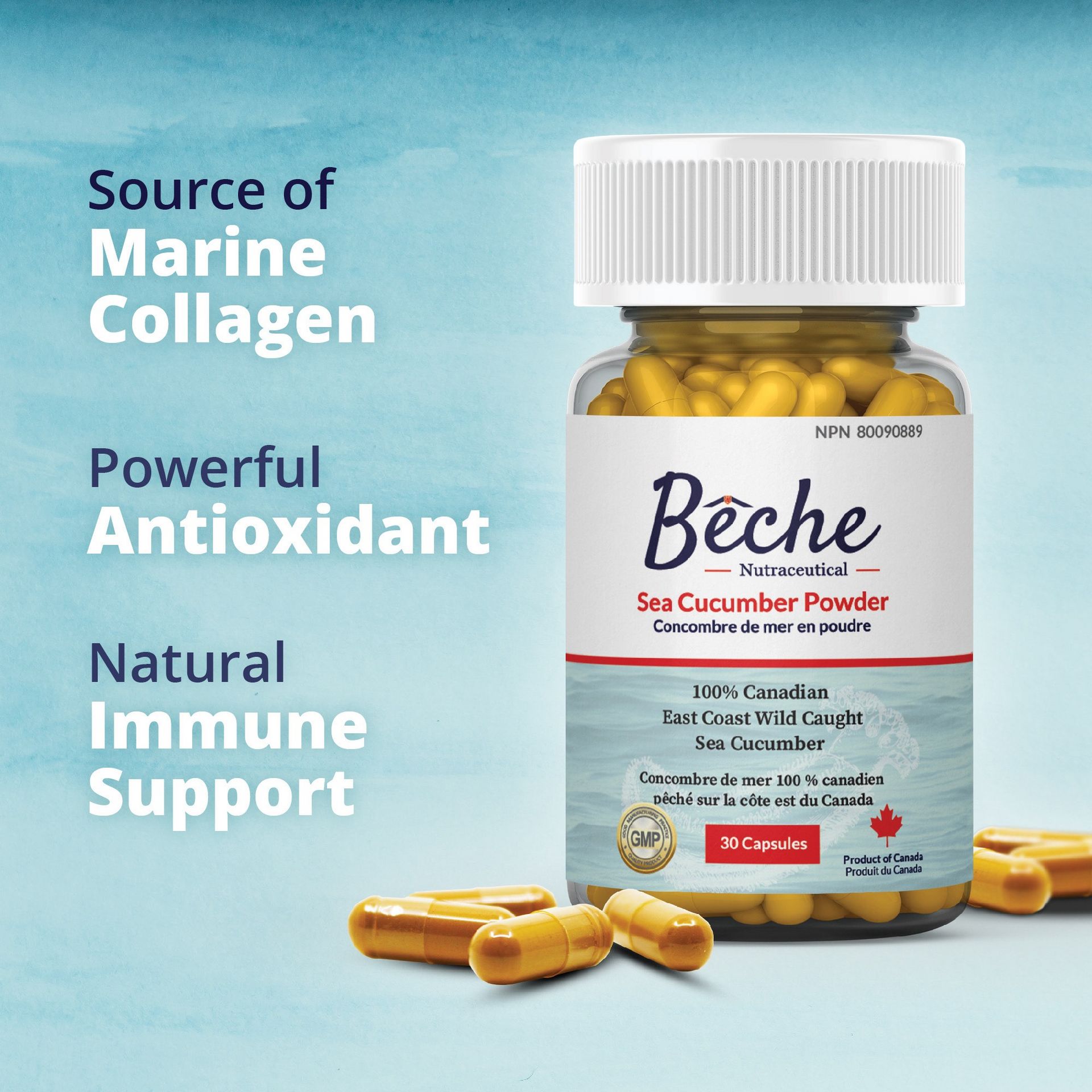 Beche Sea Cucumber Capsules 600mg 1 bottle