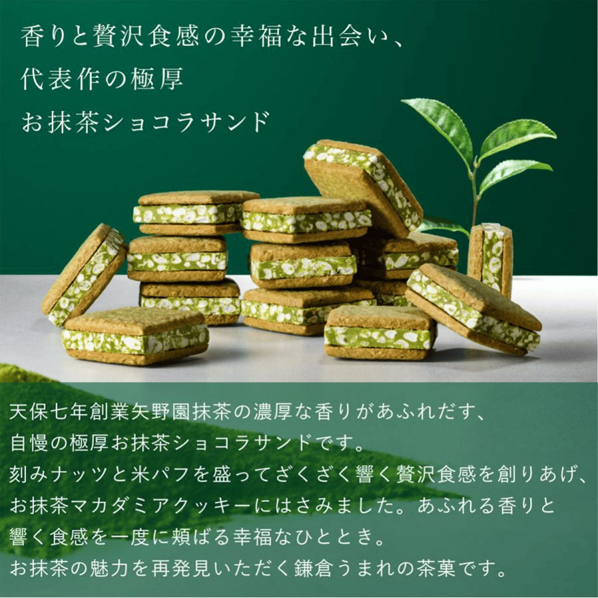 無量寿福茶磚（熟茶）250gx 4バラ売り 茶の福 お抹茶ショコラサンド 茶の福 8個入 1 個 - Weee!