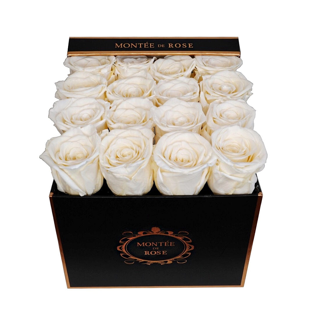 Black Medium Square Cream 1 each