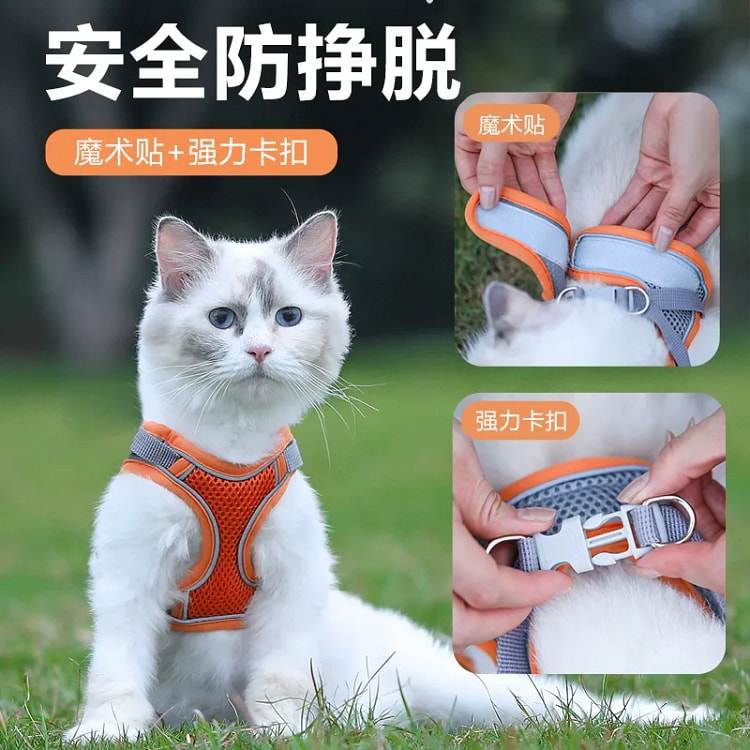 cat leash (Orange-L)