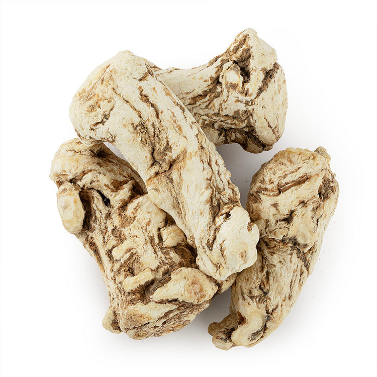 Chinese Angelica Root Premium / Dang Gui XXL 1 each