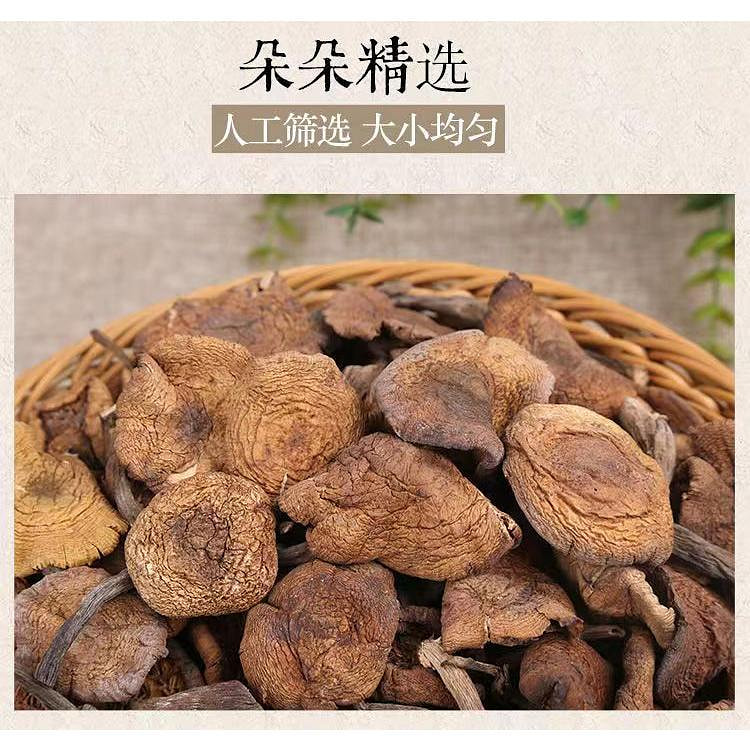 东北榛蘑批小鸡炖蘑菇125g*1袋