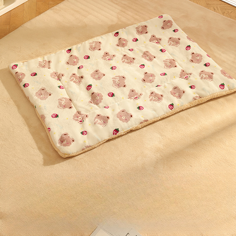 宠物毯子保暖睡觉垫子70*50cm草莓小熊*1个