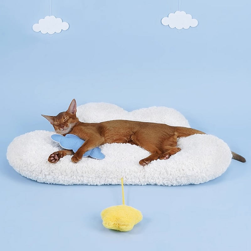 [HiiiGet] ZEZE Ethereal could pet bed 1 count