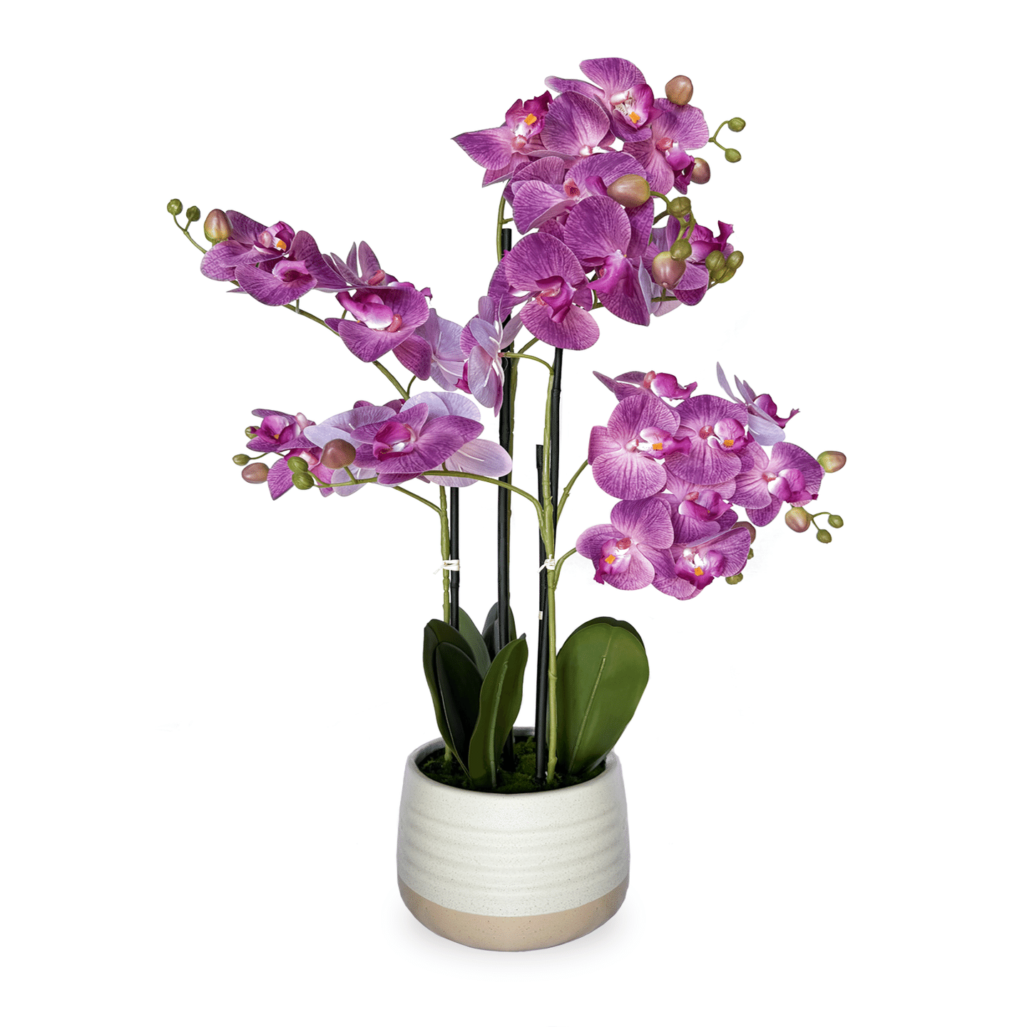 28" Real Touch Artificial Orchid in Pot 1 count