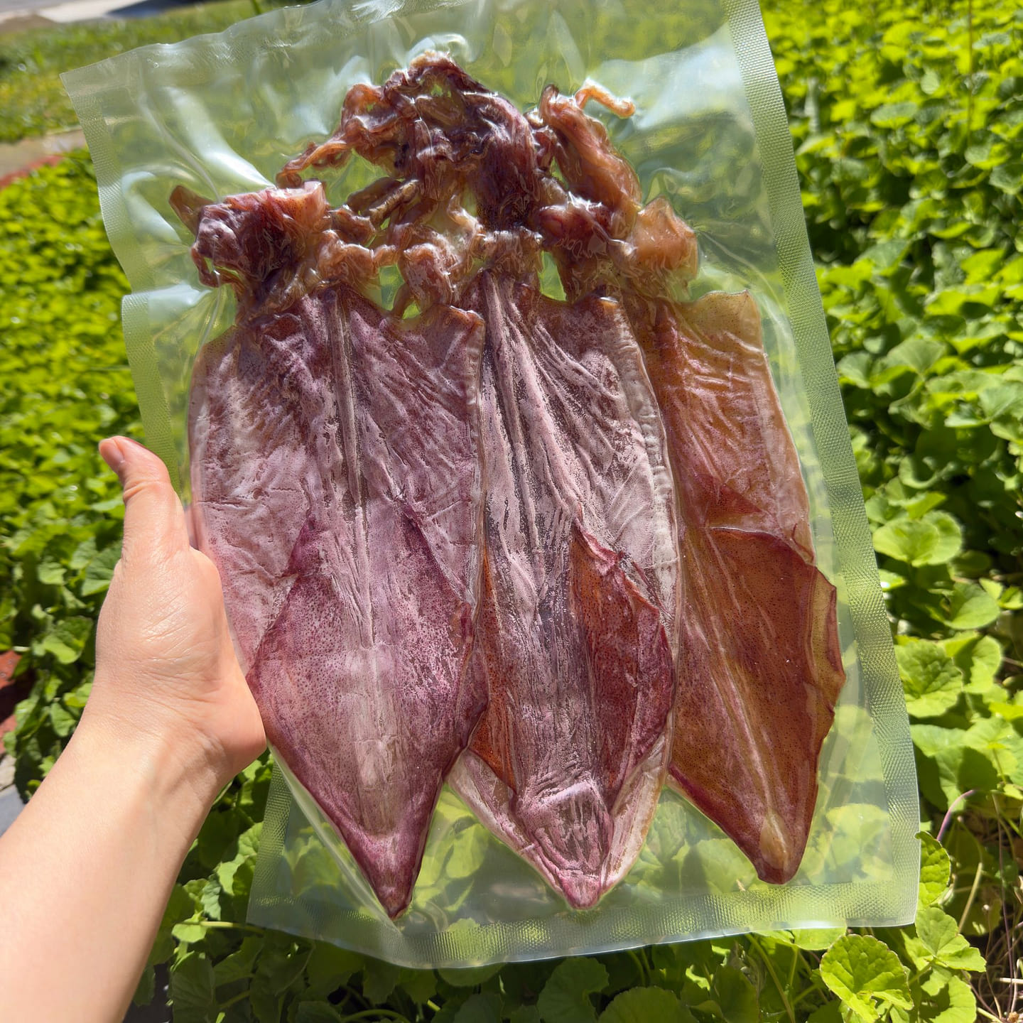 Khô Mực - Khô Mực Câu Phú Quốc - Vietnam dried squid 200 g
