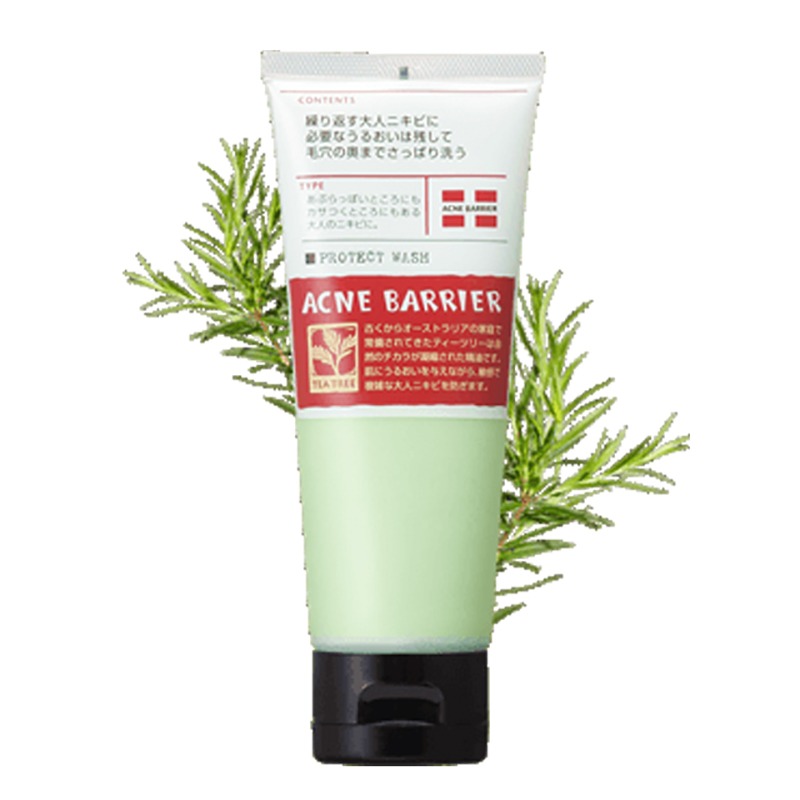 ISHIZAWA LABS Tea Tree Essential Oil Cleanser 100g 1 each
