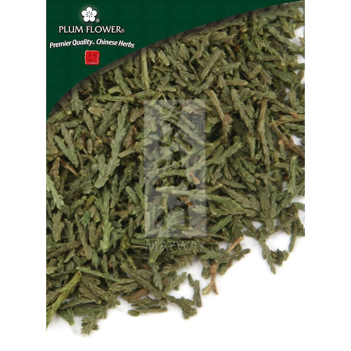 Ce Bai Ye, unsulfured Platycladus orientalis twig & leaf 500g 1 份