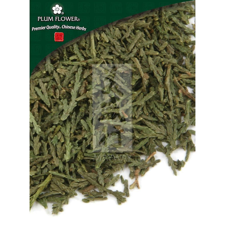 Ce Bai Ye, unsulfured Platycladus orientalis twig & leaf 500g