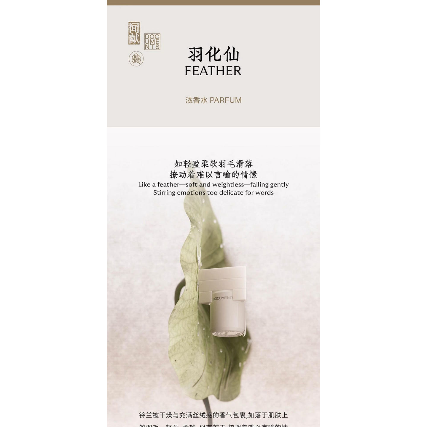 DOCUMENTS FEATHER: Long-Lasting Woody Perfume 30 ml