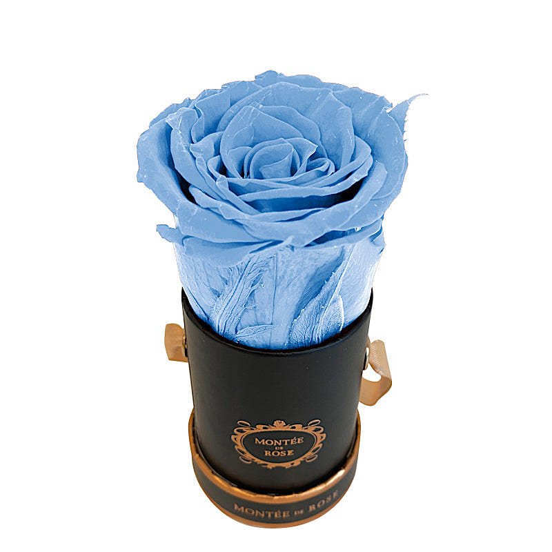 Black Mini Round Sky Blue 1 each
