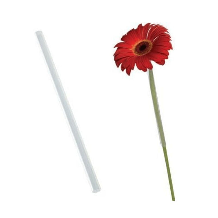 非洲菊花吸管/套筒 250 个