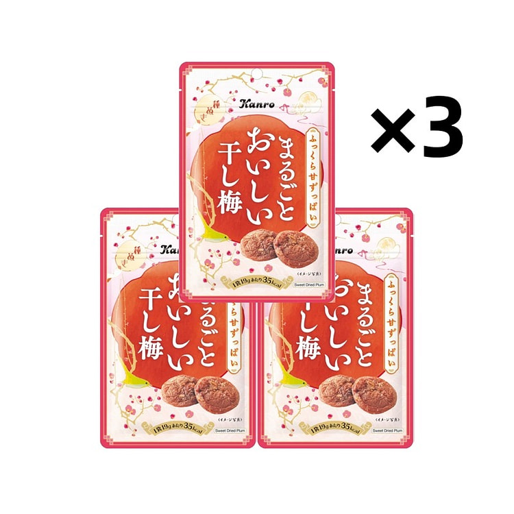 Kanro Whole Delicious Dried Plums 19g x 3 1 each