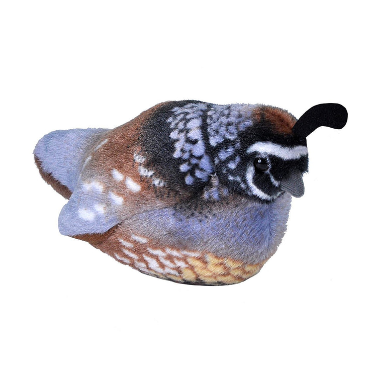 Audubon II California Quail Plush with Sound - 5"