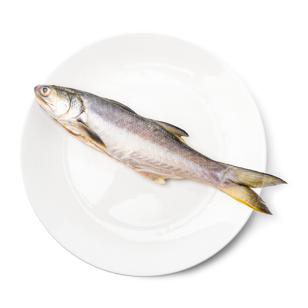 Taiwan Fourfinger Threadfin Fish, Frozen 300-350 g