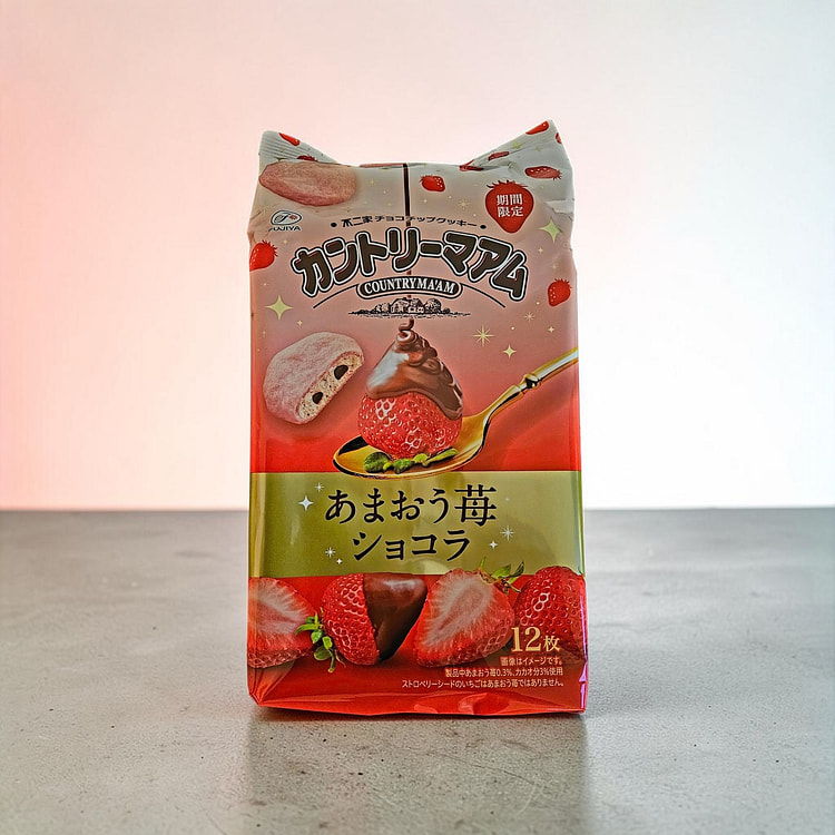 日本 FUJIYA不二家 乡村饼干 143 克