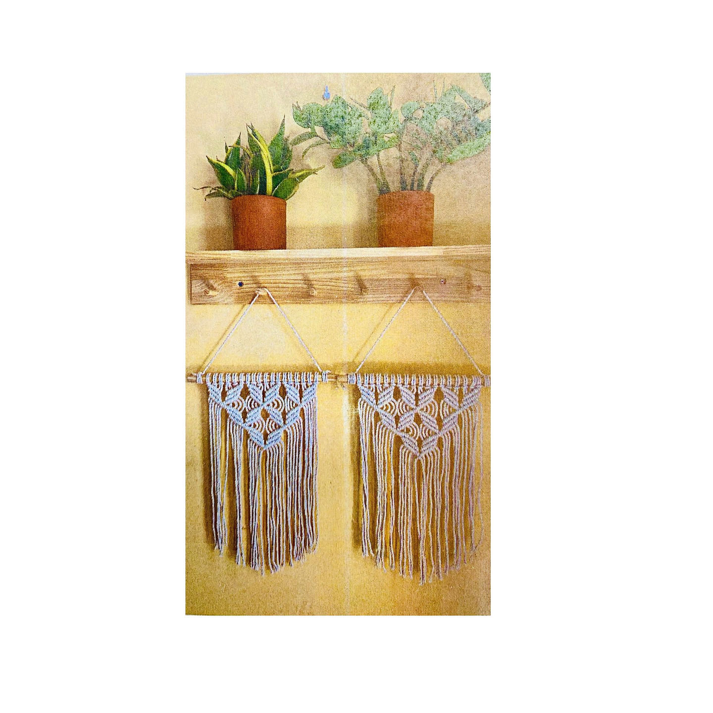 JNC Macrame Wall Hanging Handmade Kit 2 each