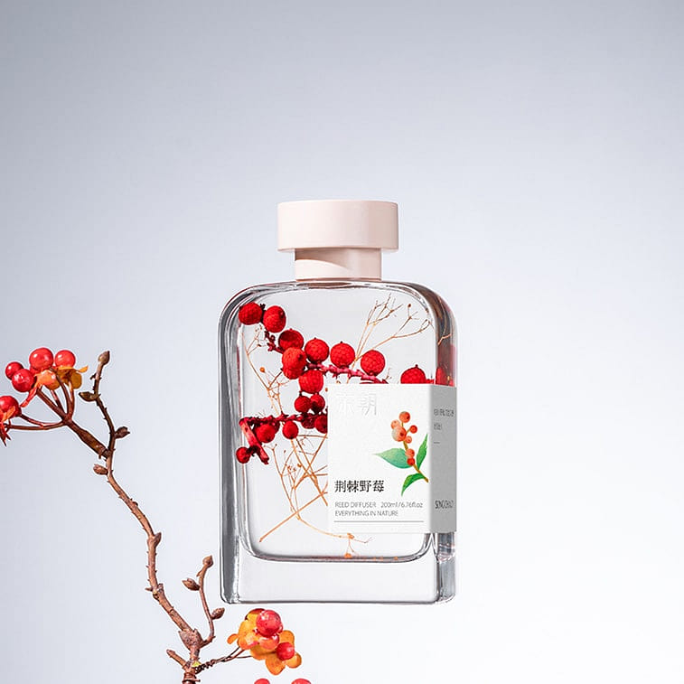 Natural Elements Series Flameless Aromatherapy Thorn Wild Berry 1 box