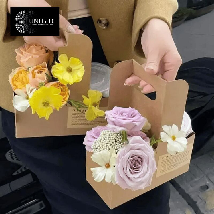 瓦楞纸板饮料托架，带2个杯托 25 磅