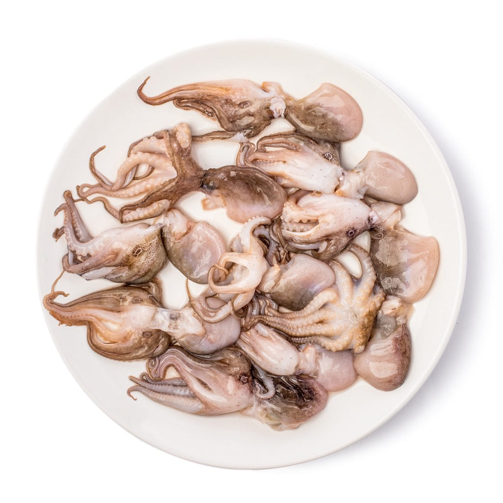 Pulpo baby, congelado 2 libra(s)