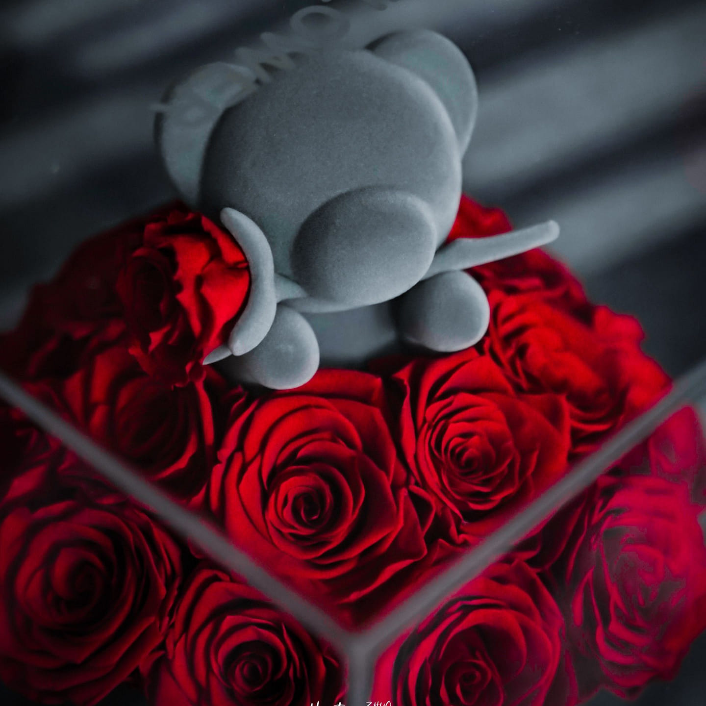Joy Flower-Teddy Bear Everlasting Rose Bouquet Gift Box 1 box