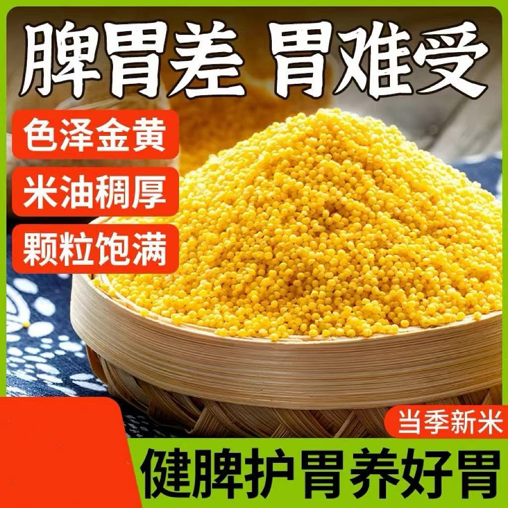 Shanxi Yellow Millet, Stomach Nourishing 2500 g