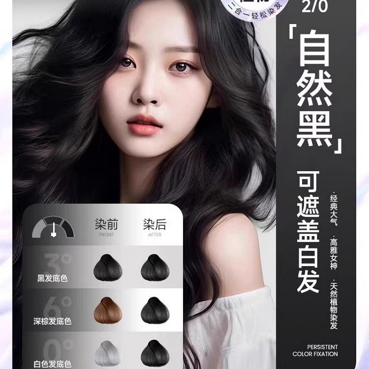 Bubble Hair Dye 460ml Natural Black