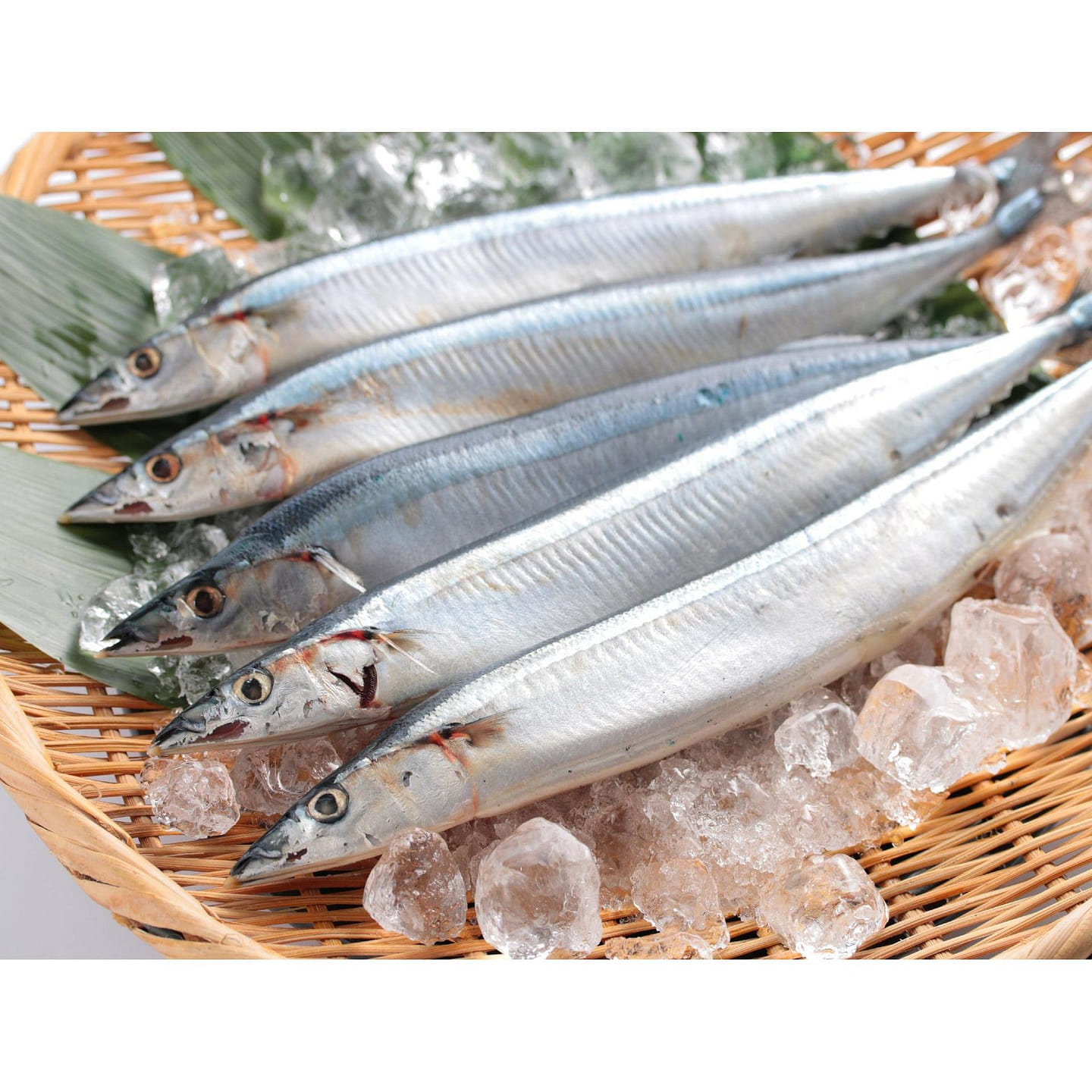 Sanma Pacific Saury Hokkaido 2pc 300g 2 count