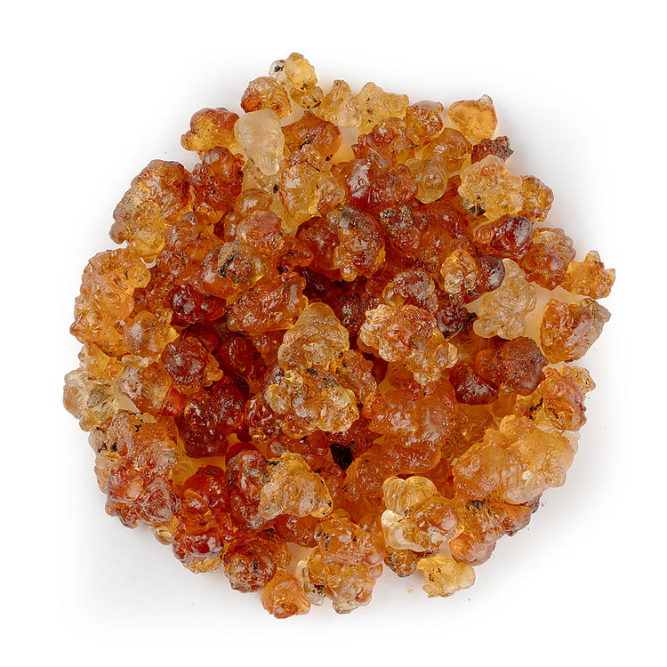 WHF Peach Gum / Tao Jiao