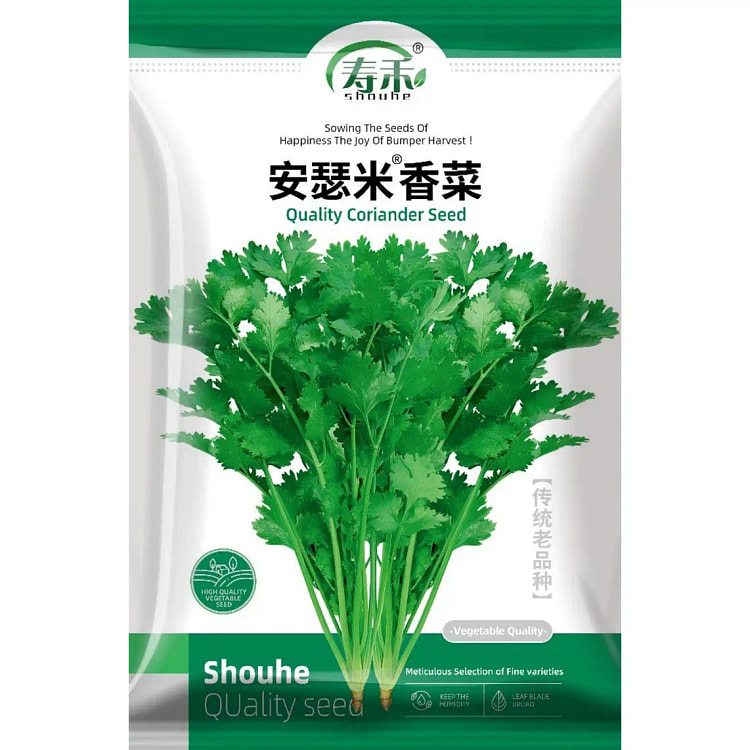 About 3,000 coriander seeds